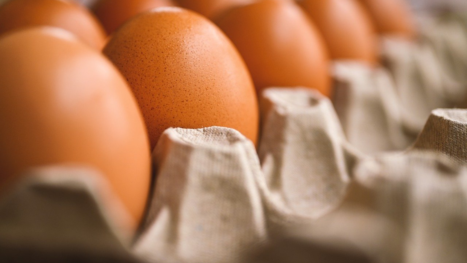Les œufs frais : un aliment santé à ne pas négliger !